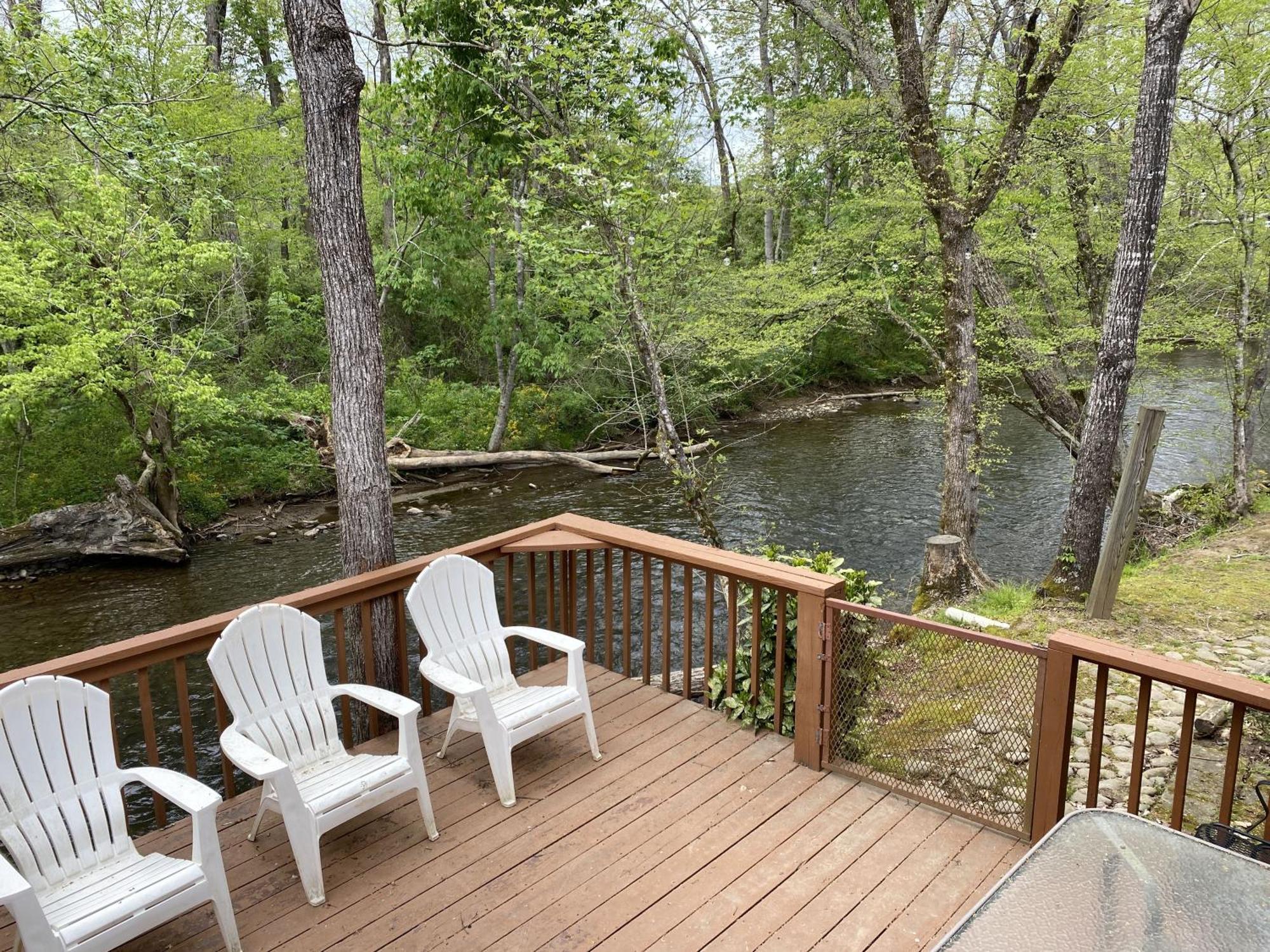 Gray'S Place On Cosby Creek - 2 Bedrooms, 2 Baths, Sleeps 6 Home Kültér fotó