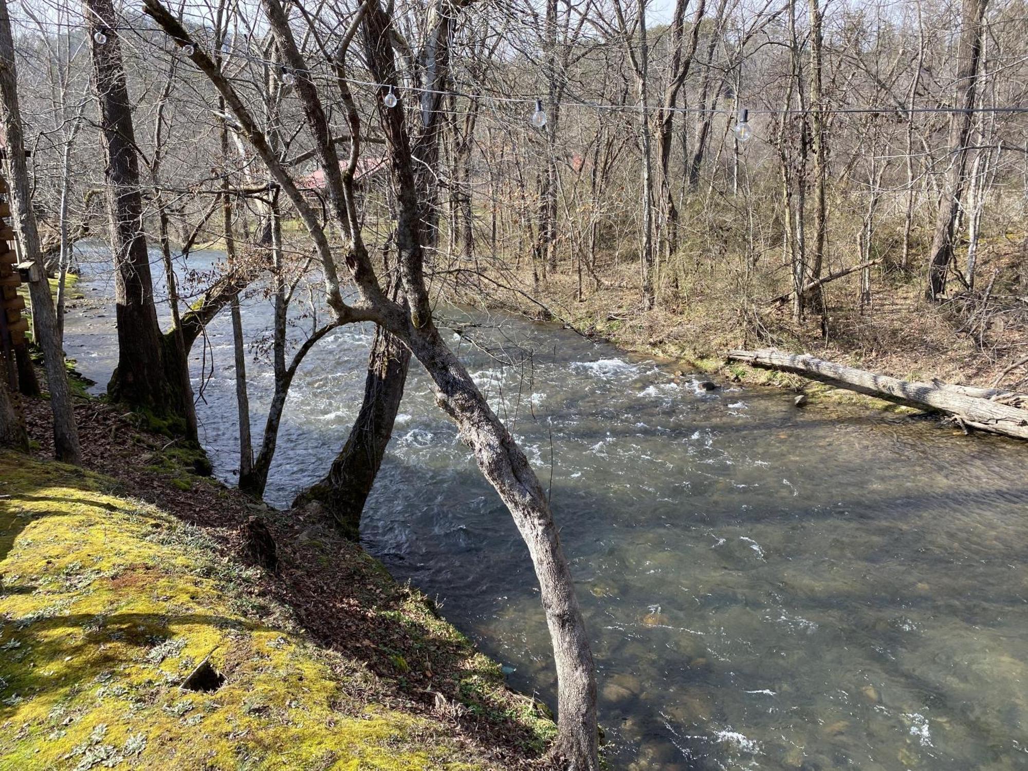 Gray'S Place On Cosby Creek - 2 Bedrooms, 2 Baths, Sleeps 6 Home Kültér fotó