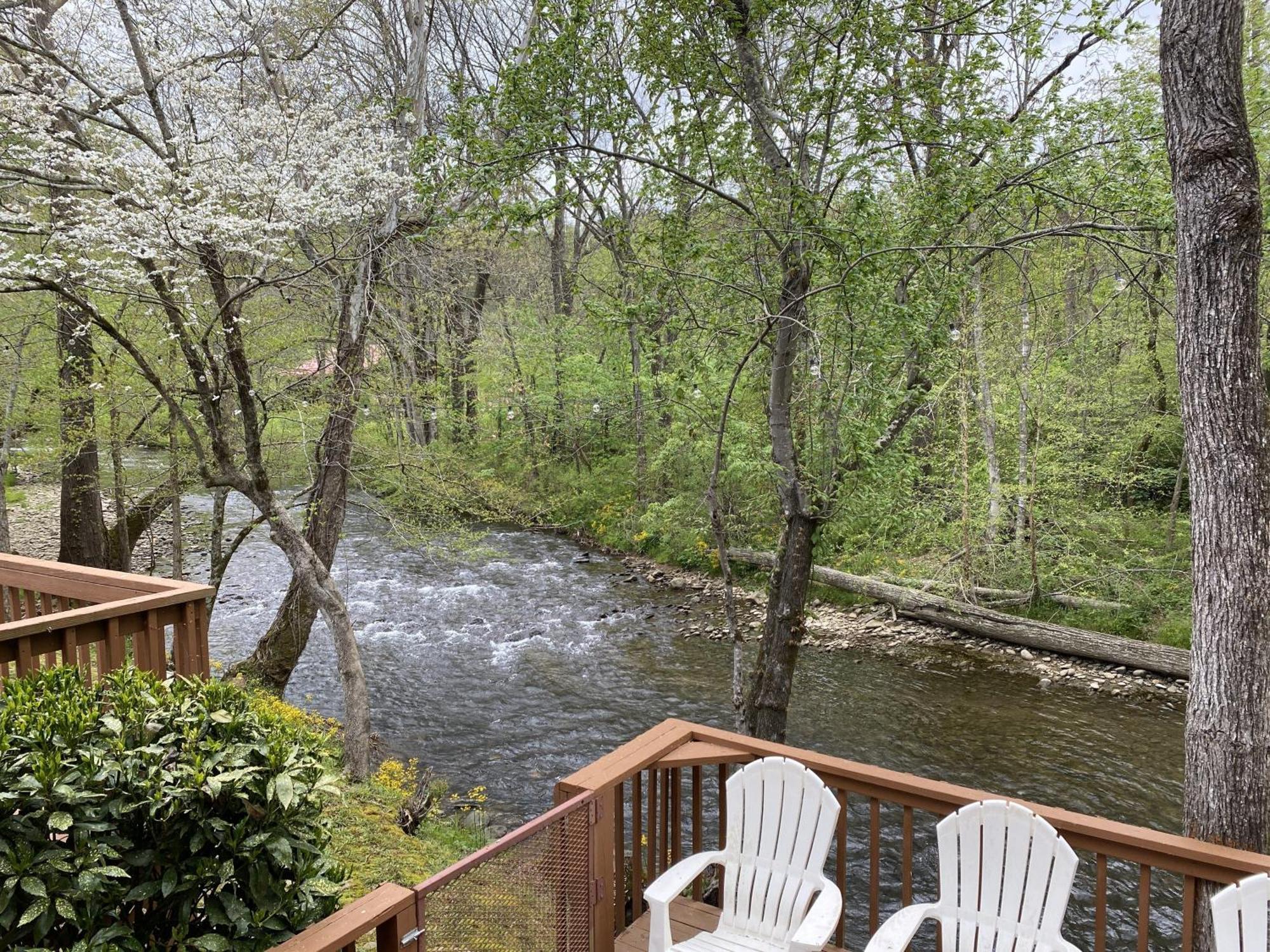 Gray'S Place On Cosby Creek - 2 Bedrooms, 2 Baths, Sleeps 6 Home Kültér fotó